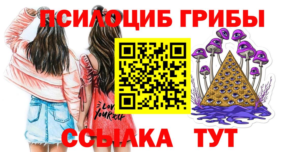Галлюциногенные грибы Psilocybine cubensis Сыктывкар