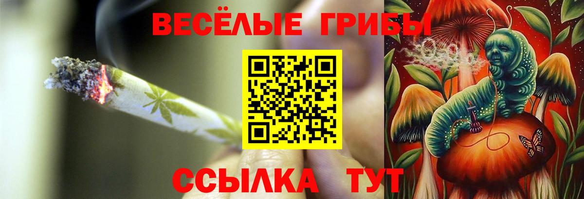 Сыктывкар  Галлюциногенные грибы прущие грибы  Вход с VPN  Псилоцибиновые грибы мухоморы 
